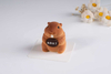 Torta Mousse a forma di marmotta